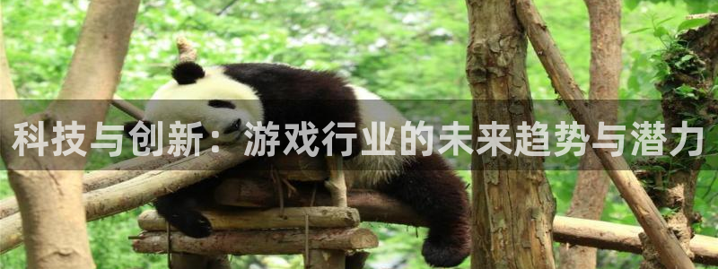 鼎点娱乐登录：科技与创新：游戏行业的未来趋势与潜力