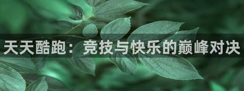 鼎点娱乐测速登陆：天天酷跑：竞技与快乐的巅峰对决