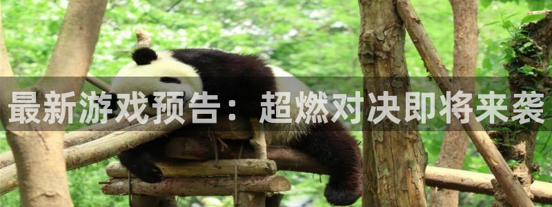 鼎点娱乐平台登录入口：最新游戏预告：超燃对决即将来袭
