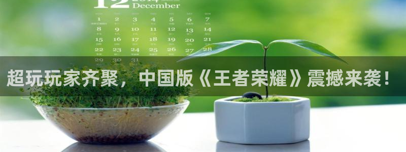 鼎点娱乐app下载注册教程：超玩玩家齐聚，中国版《王者荣耀》