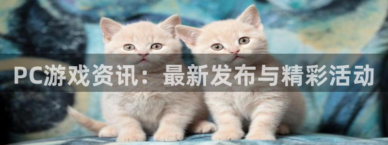 鼎点投资：PC游戏资讯：最新发布与精彩活动