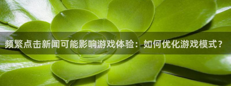 鼎点网络技术有限公司：频繁点击新闻可能影响游戏体验：如何优化